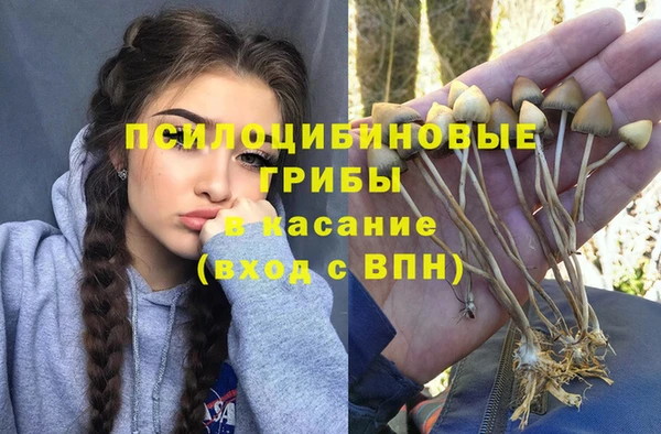дживик Краснотурьинск