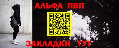 амф Кингисепп