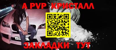 амф Кингисепп