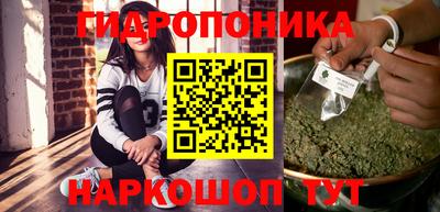 амф Кингисепп