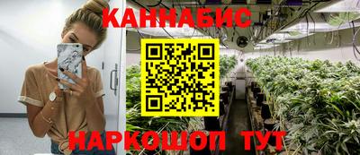 амф Кингисепп