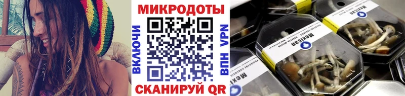 Галлюциногенные грибы GOLDEN TEACHER  продажа наркотиков  Тихвин 